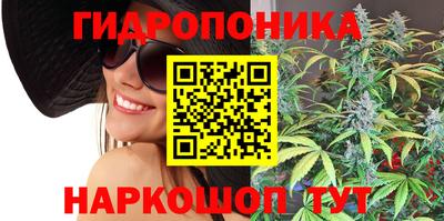 СК Моздок