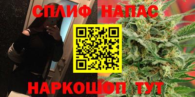 гашик Можайск