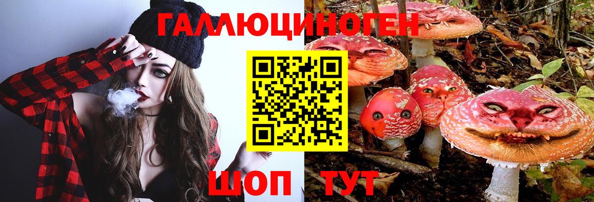 хочу   Вход с VPN  Великий Устюг  Галлюциногенные грибы мухоморы 