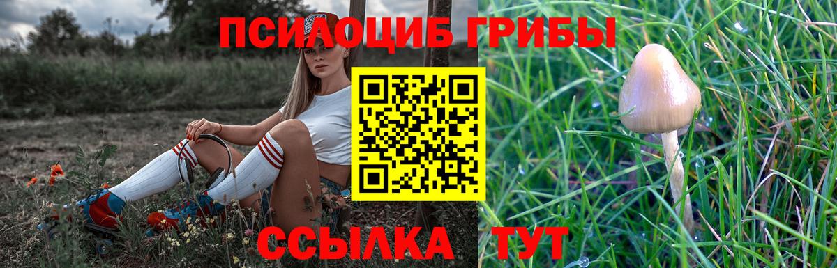 Псилоцибиновые грибы прущие грибы Великий Устюг
